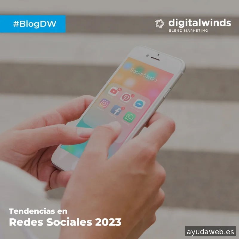 Digital Winds | Agencia de SEO en Madrid