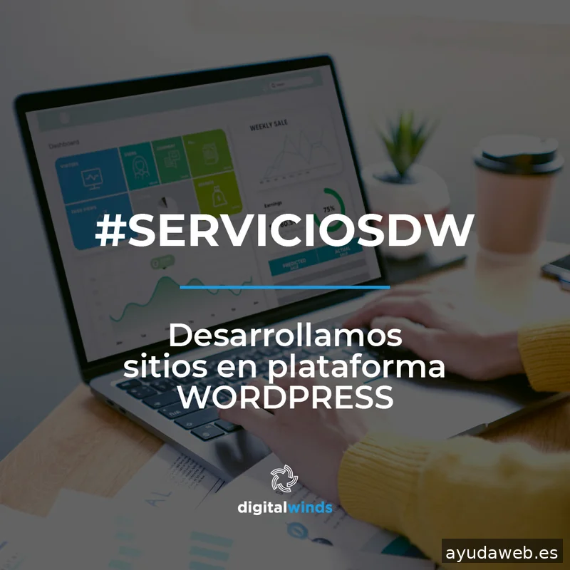Digital Winds | Agencia de SEO en Madrid