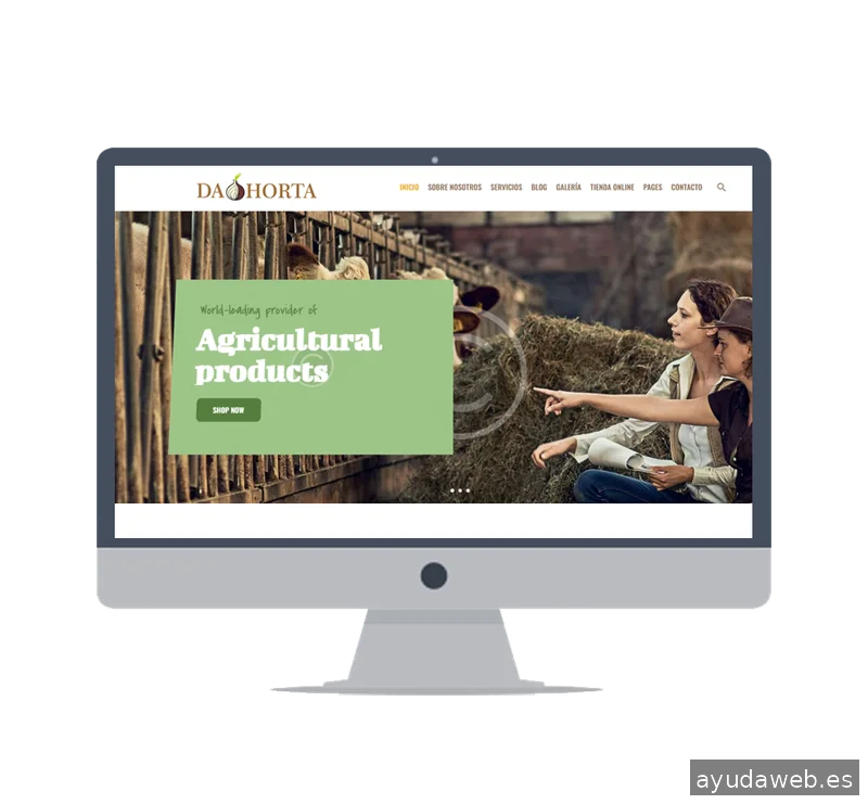 Wooweb - Diseño de páginas web