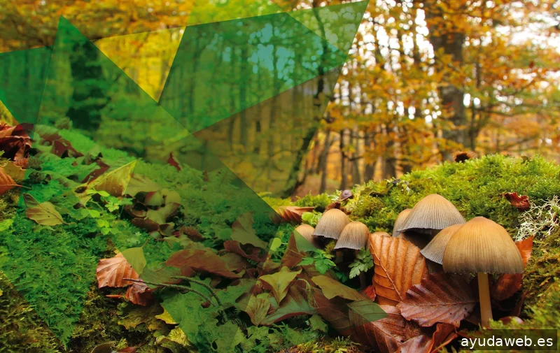 Where is Asturias: Marketing, Comunicación y Producción Audiovisual