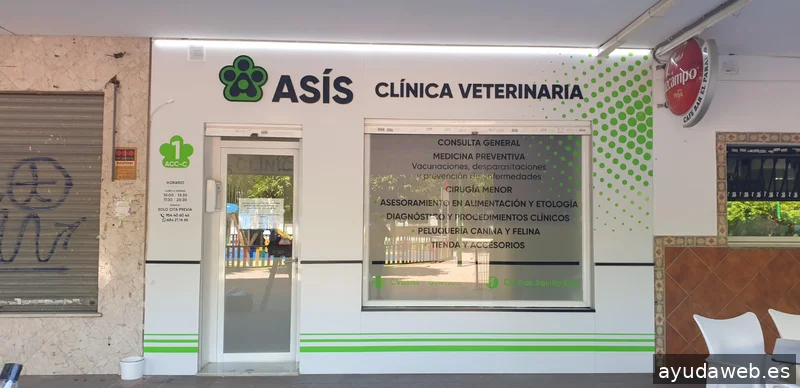 WAE - Proyectos integrales de rotulación en Sevilla