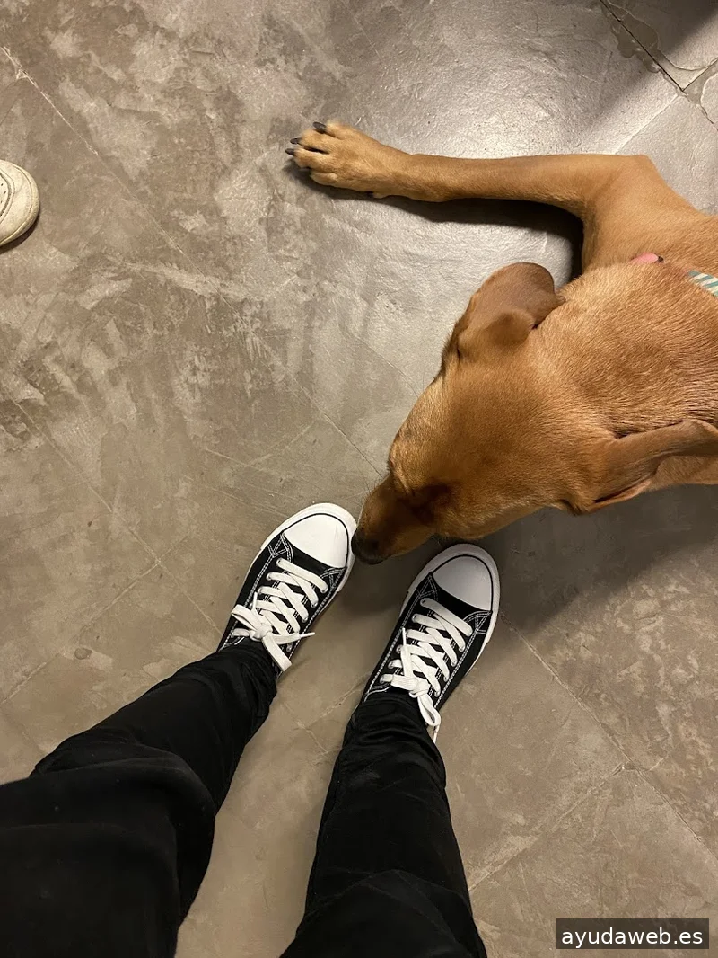 MAKTAGG - Agencia Creativa, Marketing y Diseño