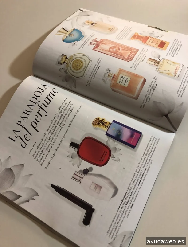 MAKTAGG - Agencia Creativa, Marketing y Diseño