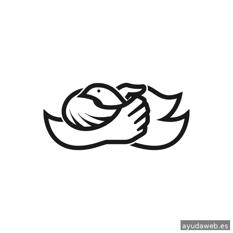 Beto Briceño - Diseño Gráfico, video marketing y redes sociales en Benidorm