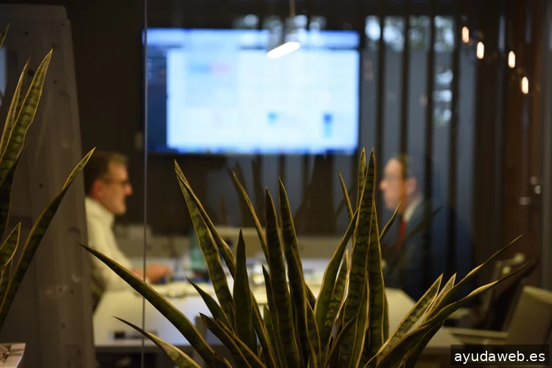 VK Group Outsourcing