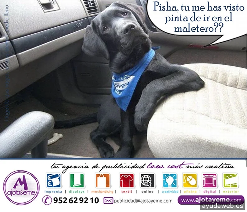 Ajotayeme, tu agencia de publicidad LowCost + Creativa