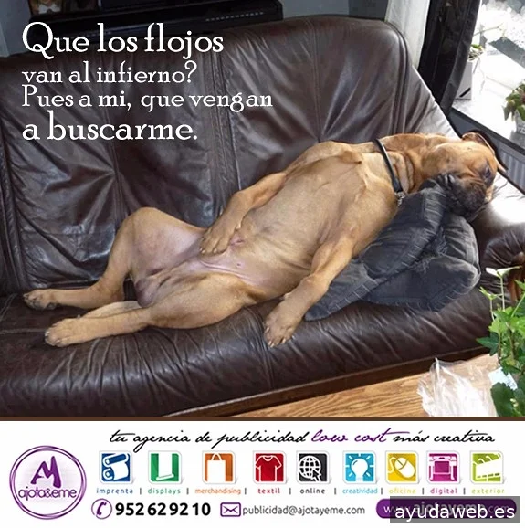 Ajotayeme, tu agencia de publicidad LowCost + Creativa