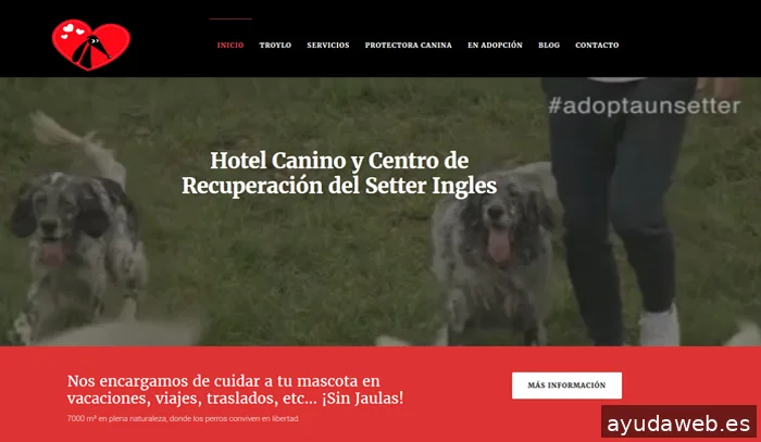 Bilbolink | Diseño Web & SEO en Bilbao