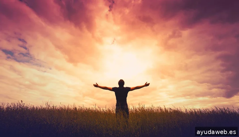 Creadores Web Sevilla