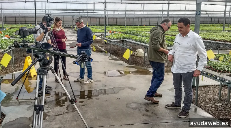 DDInteractiva Desarrollo y Difusión