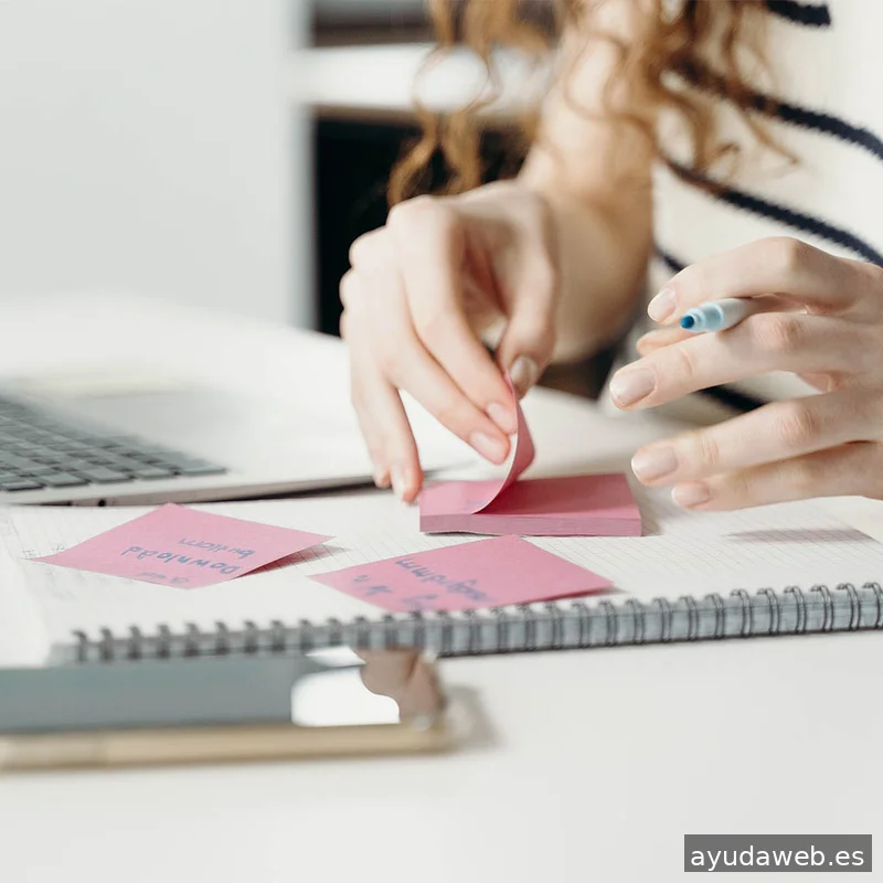 Zenktus Agencia de Marketing Digital