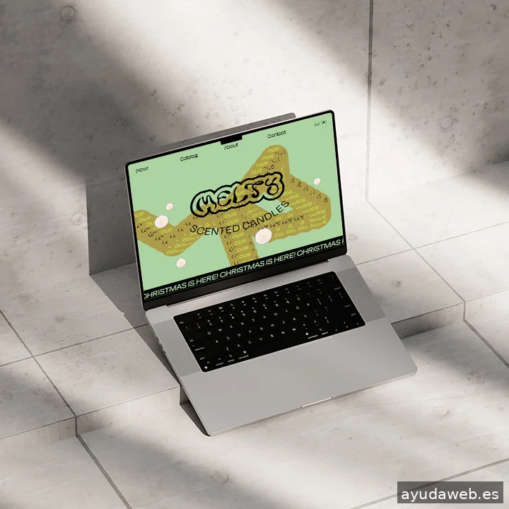 Laura Domínguez Diseñadora Gráfica