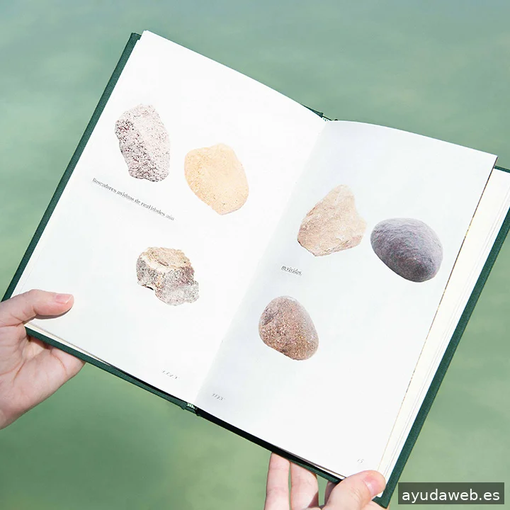 Laura Domínguez Diseñadora Gráfica