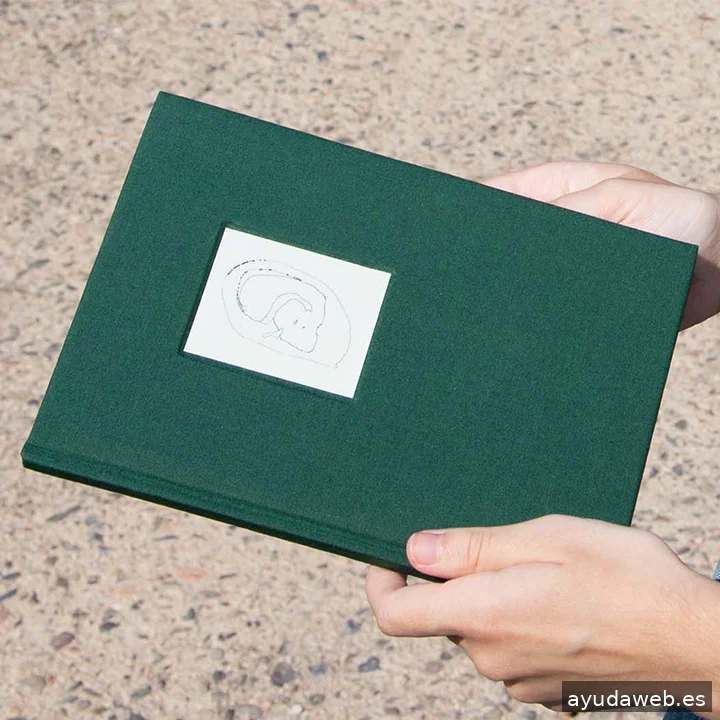 Laura Domínguez Diseñadora Gráfica