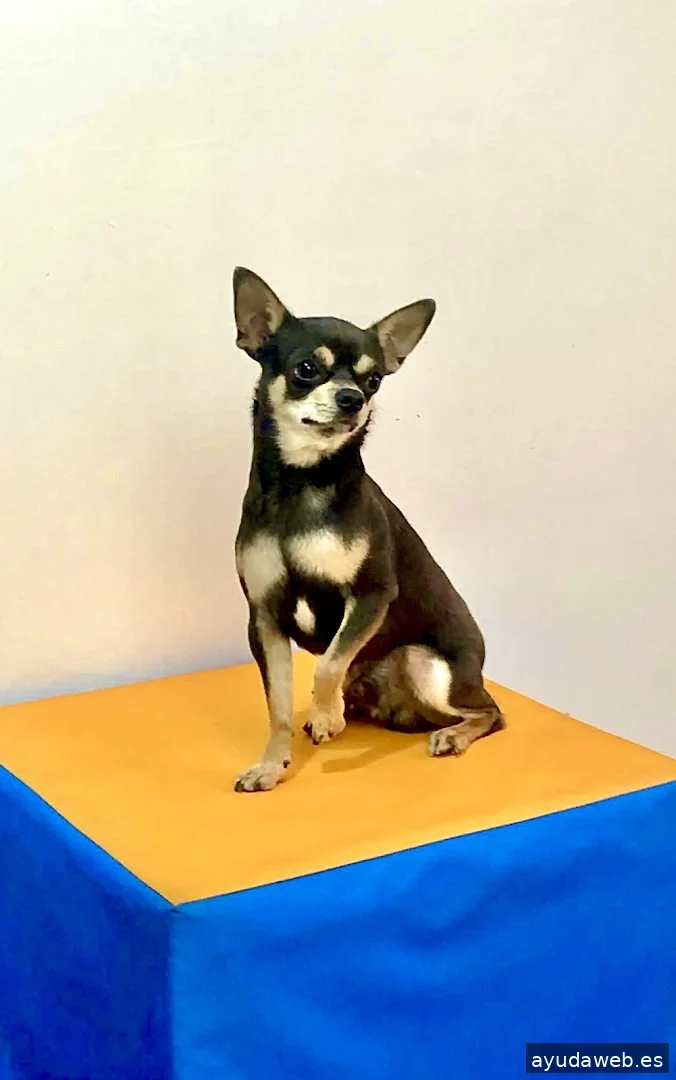 La Factoría Creativa