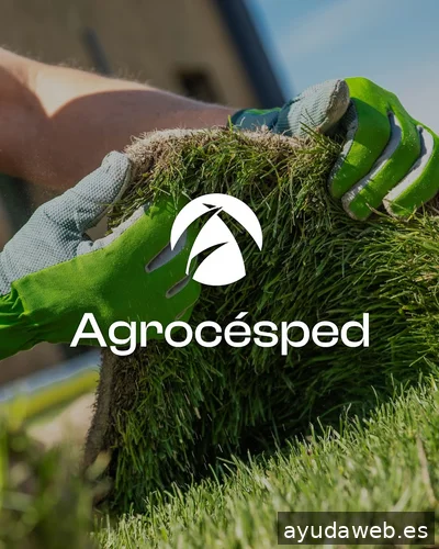 Kubo creativo | Agencia de publicidad y diseño gráfico