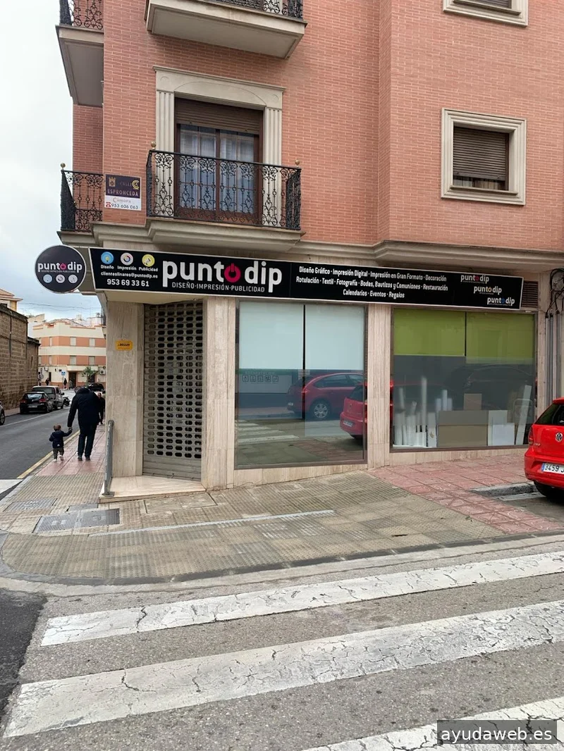 Punto Dip