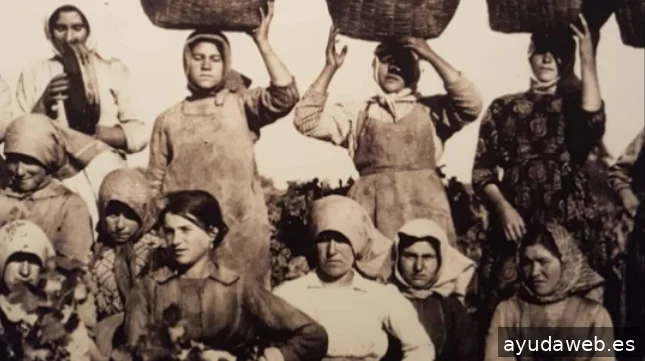 ENPEDRA ESTUDIO | Especialistas en Packaging | Consultoría Diseño Lugo | Diseño Gráfico Galicia