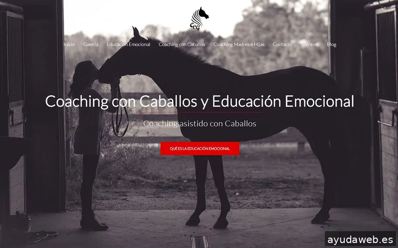 Coach2Coach Diseño Web