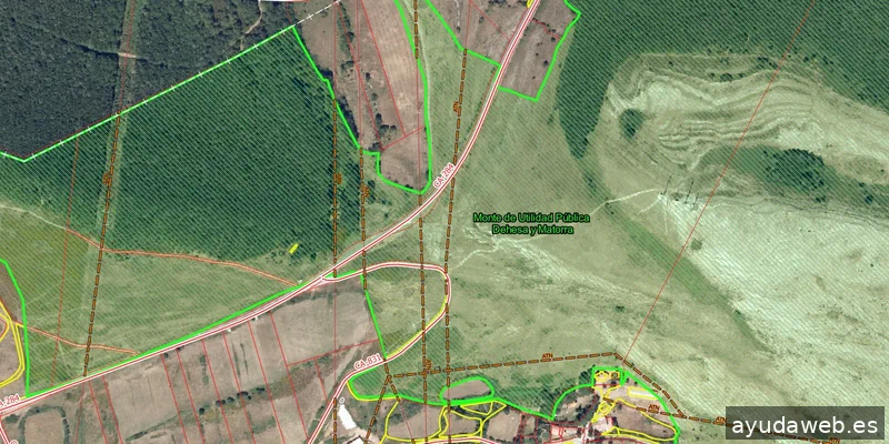 Pangea Proyectos Reinosa