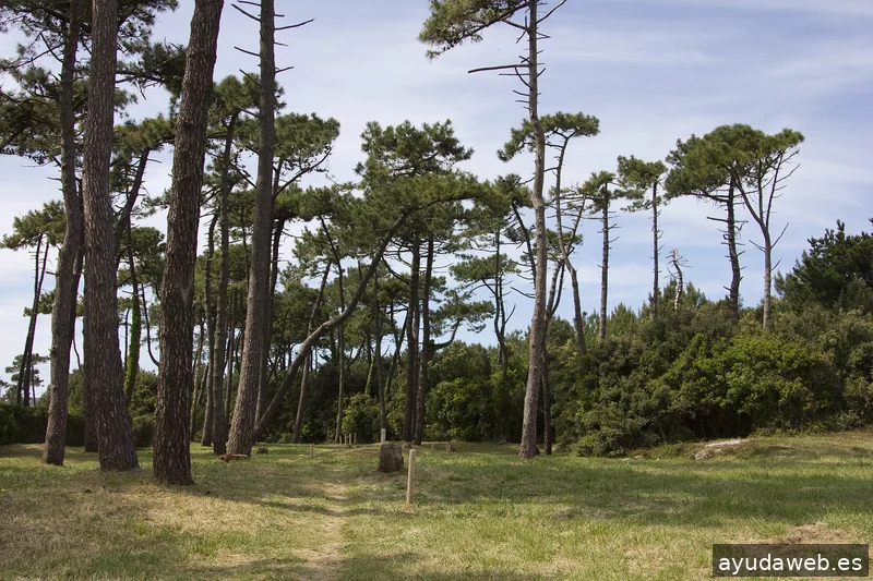 Pangea Proyectos Reinosa