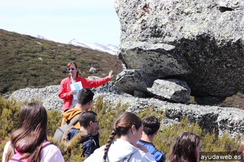 Pangea Proyectos Reinosa