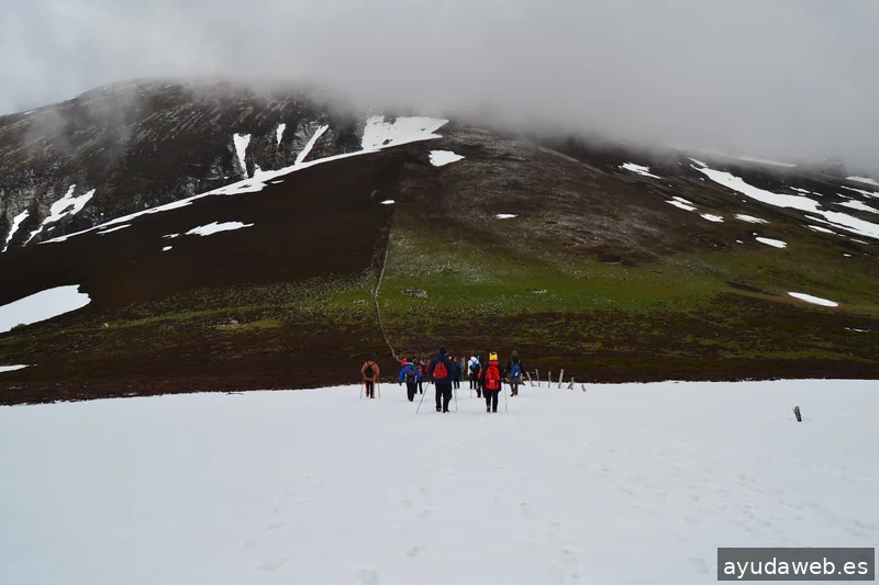 Pangea Proyectos Reinosa
