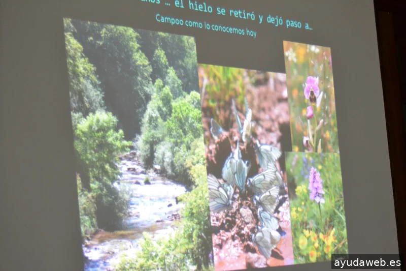 Pangea Proyectos Reinosa