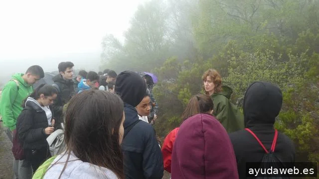 Pangea Proyectos Reinosa