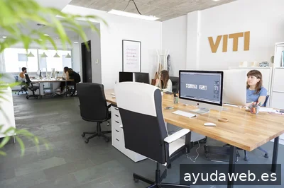 VITI disseny · branding · web