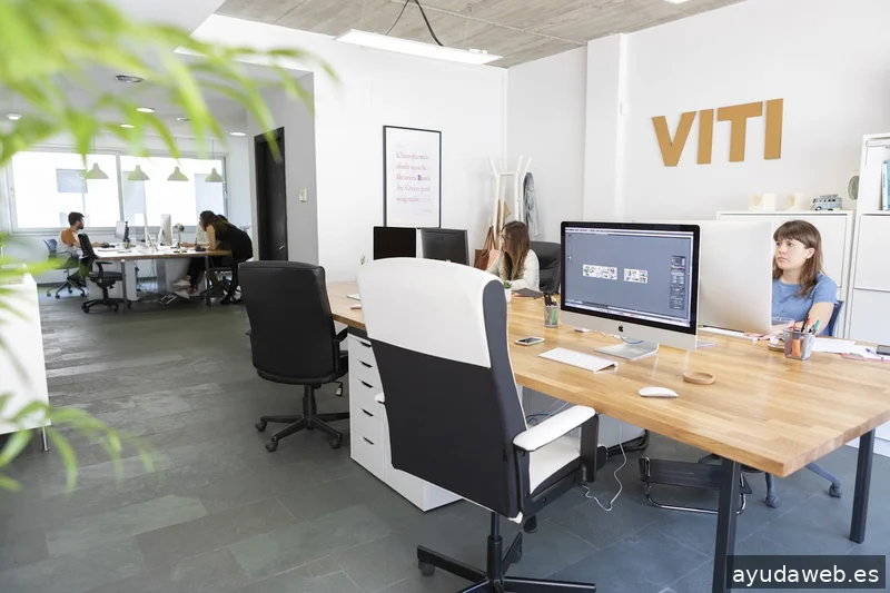 VITI disseny · branding · web