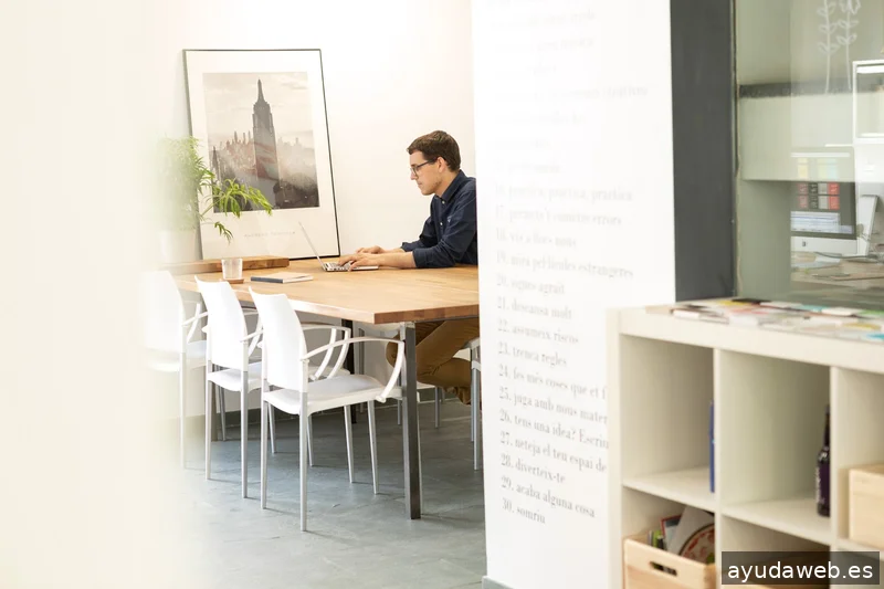 VITI disseny · branding · web