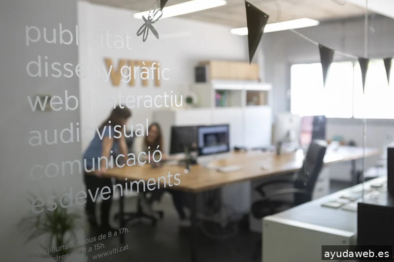 VITI disseny · branding · web