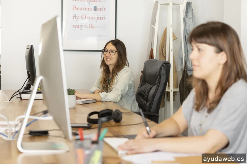 VITI disseny · branding · web