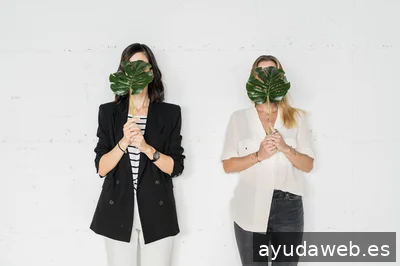 Boreal Boutique Agency