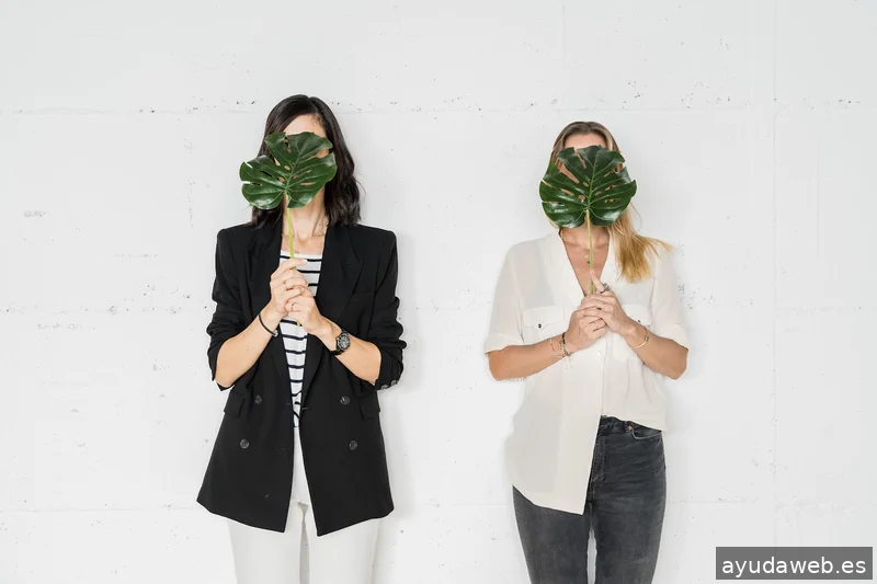 Boreal Boutique Agency
