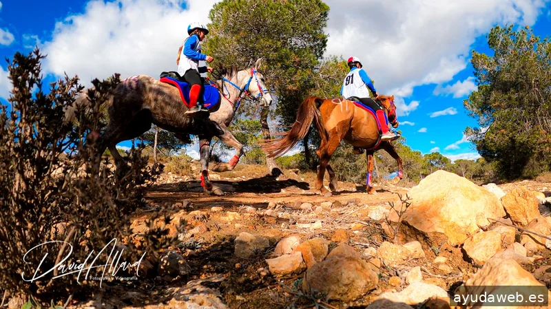 Allard Producciones - Grabacion de Videos - Dron - Marketing