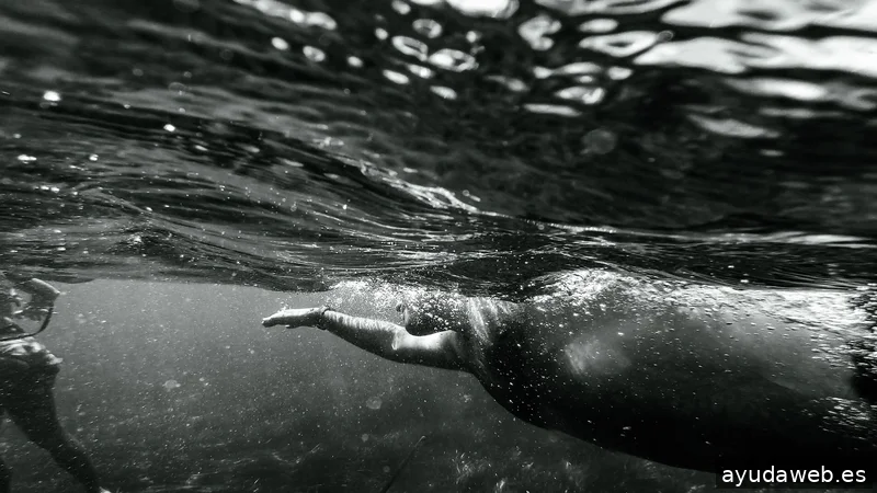 Allard Producciones - Grabacion de Videos - Dron - Marketing