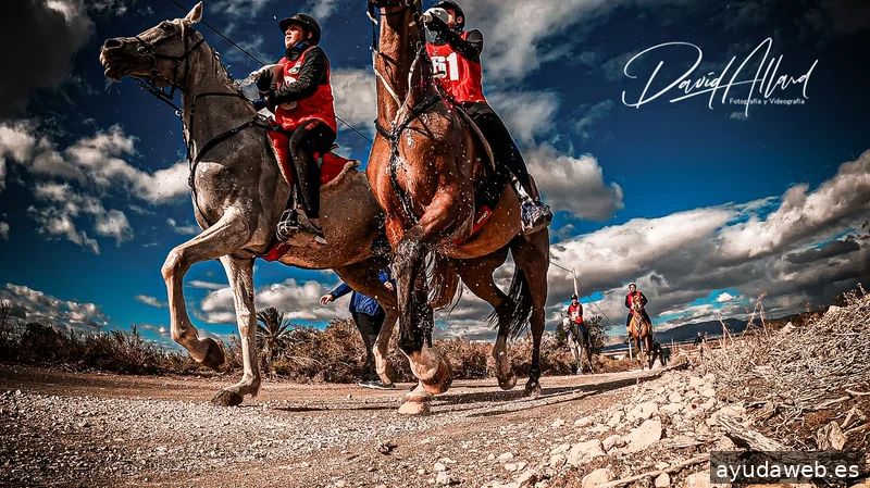 Allard Producciones - Grabacion de Videos - Dron - Marketing