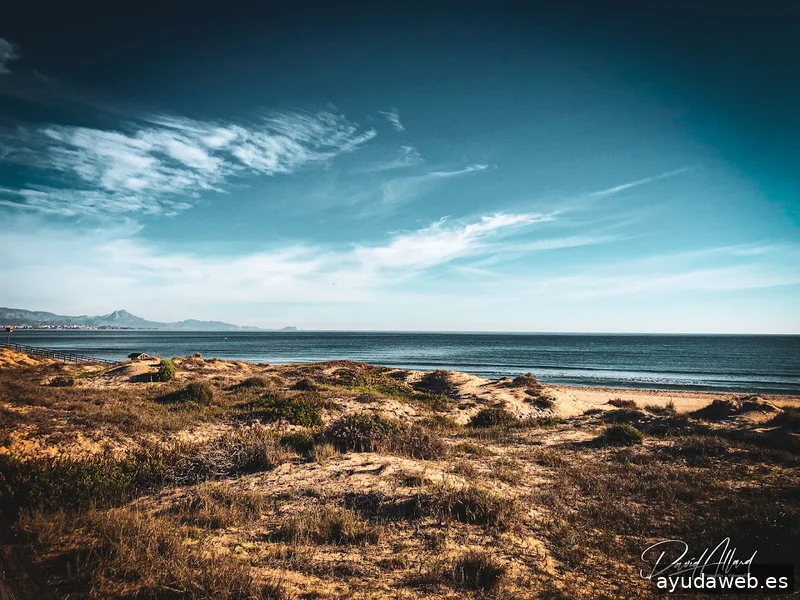 Allard Producciones - Grabacion de Videos - Dron - Marketing