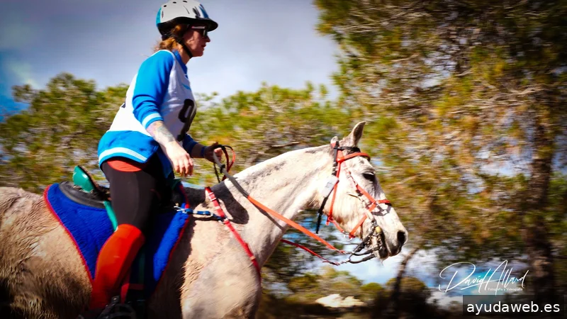 Allard Producciones - Grabacion de Videos - Dron - Marketing