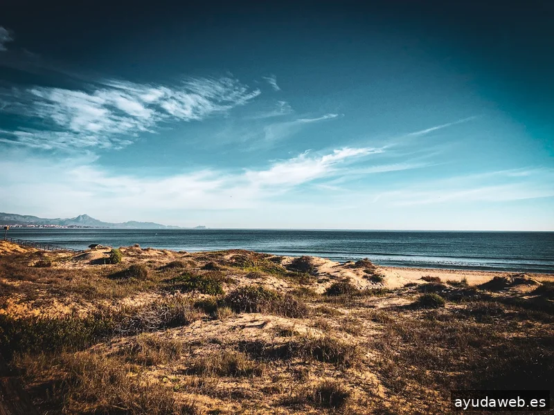 Allard Producciones - Grabacion de Videos - Dron - Marketing