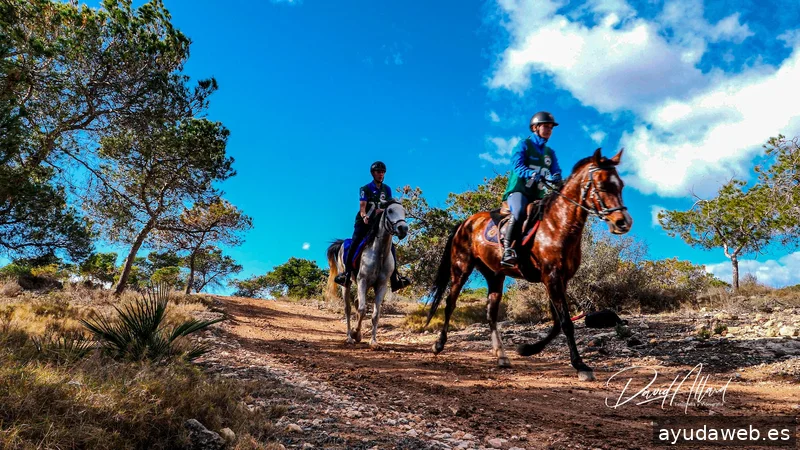 Allard Producciones - Grabacion de Videos - Dron - Marketing