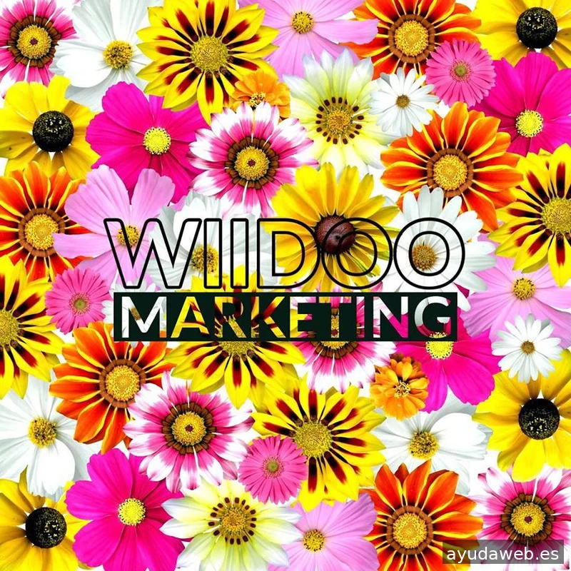 Wiidoo Media