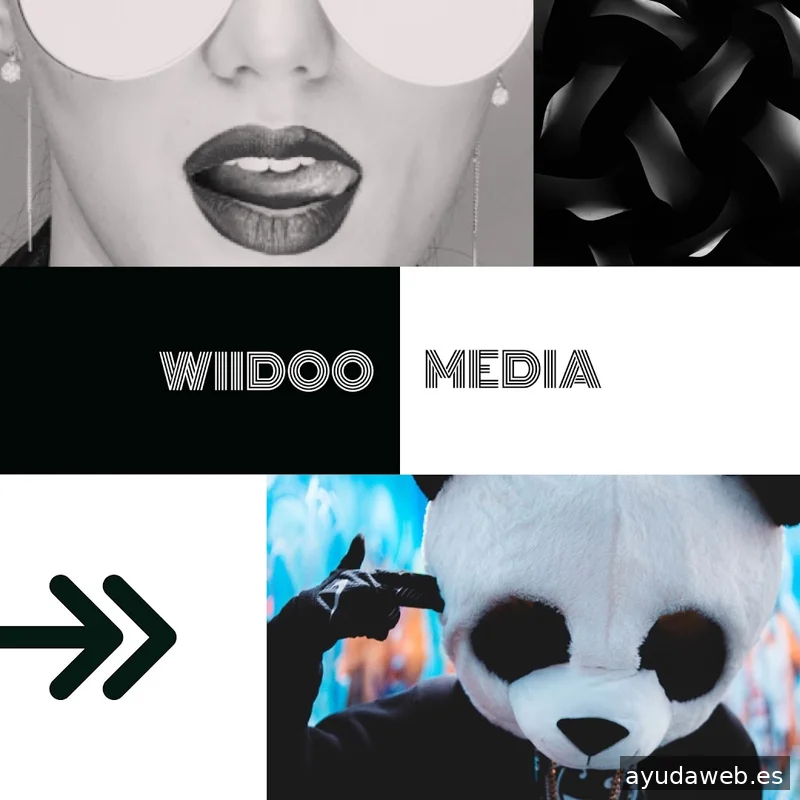 Wiidoo Media