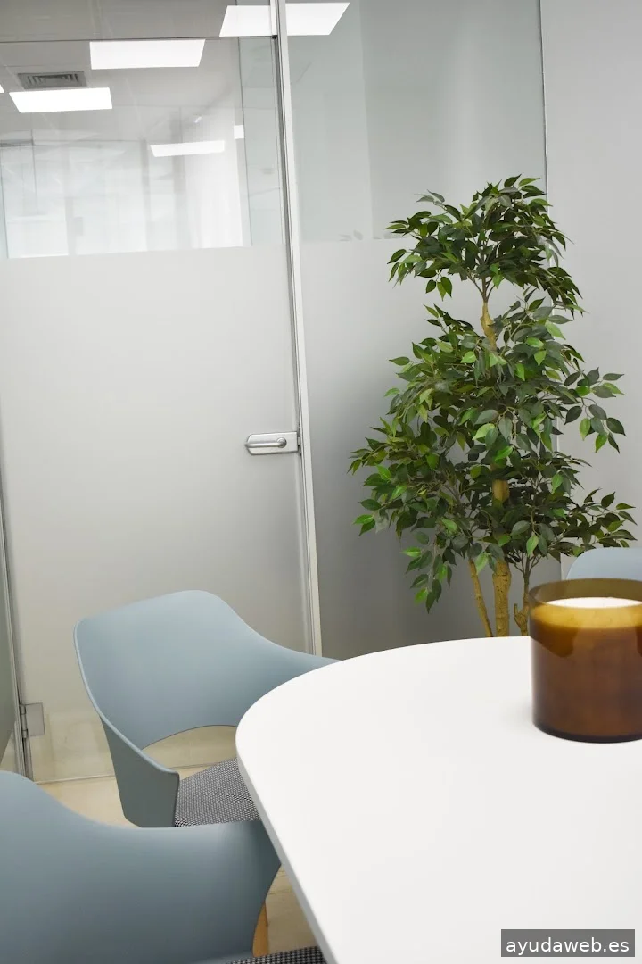 SODA lemon - Agencia de Marketing Digital