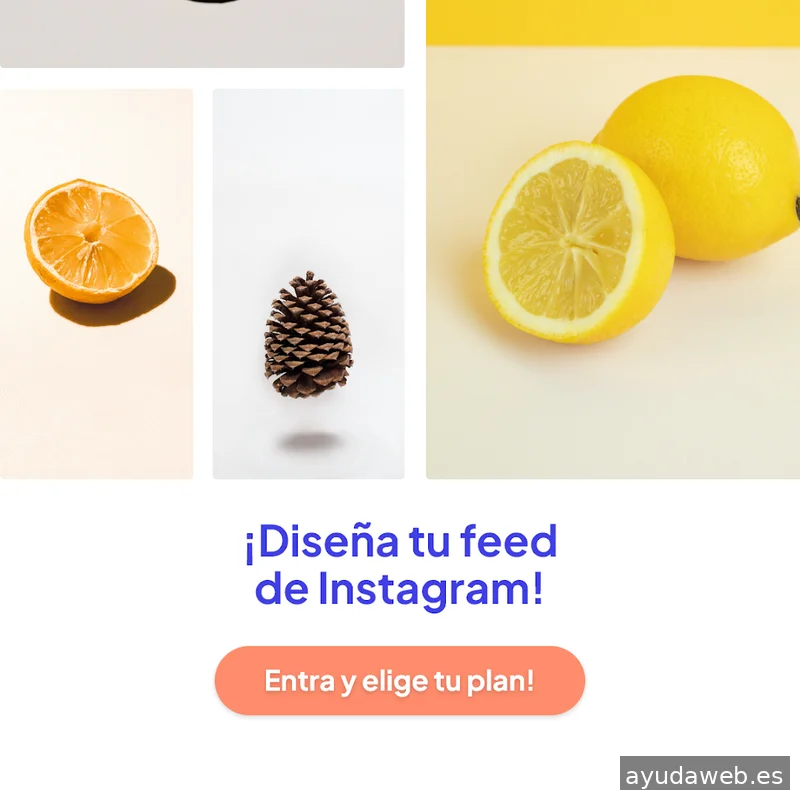 Creativux Redes sociales y web
