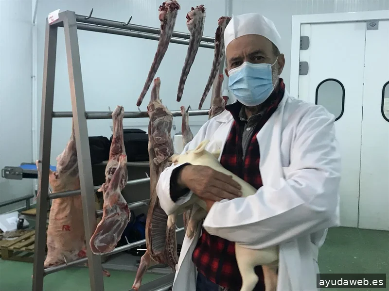 Oficina de Imaginación