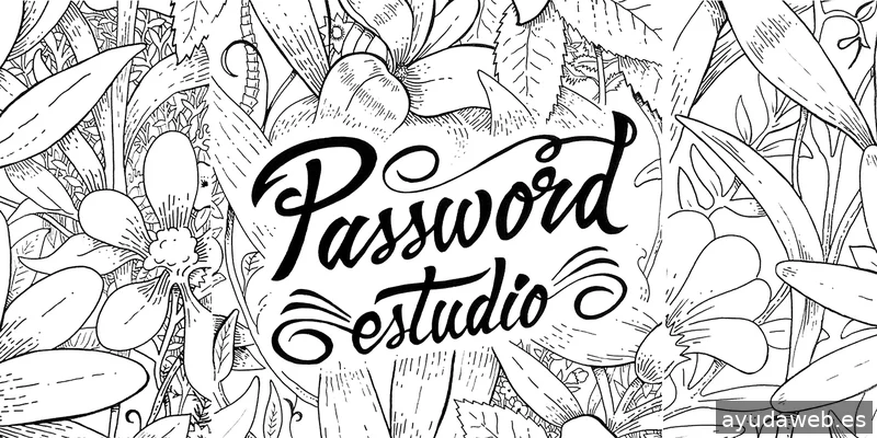 PASSWORD ESTUDIO
