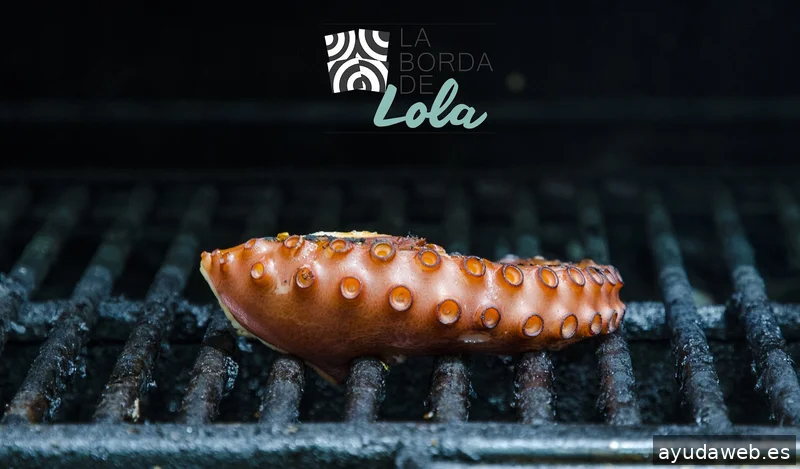 Fotógrafo de Confianza Street View - Visitas Virtuales en 360º - Xàtiva